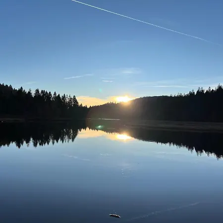 Les Brimbelles, Detente & Spa, Au Coeur Des Vosges Chalet Ventron